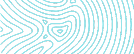 contact element