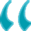 review icon